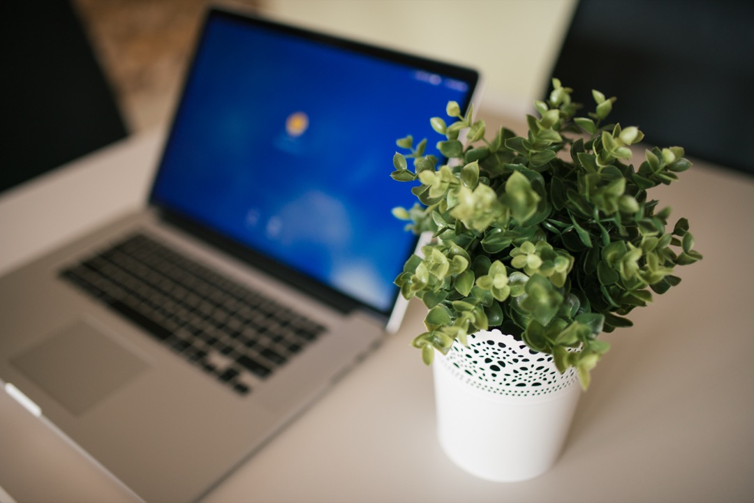 A laptop and a small potted plant on a compact white desk in a bright modern workspace